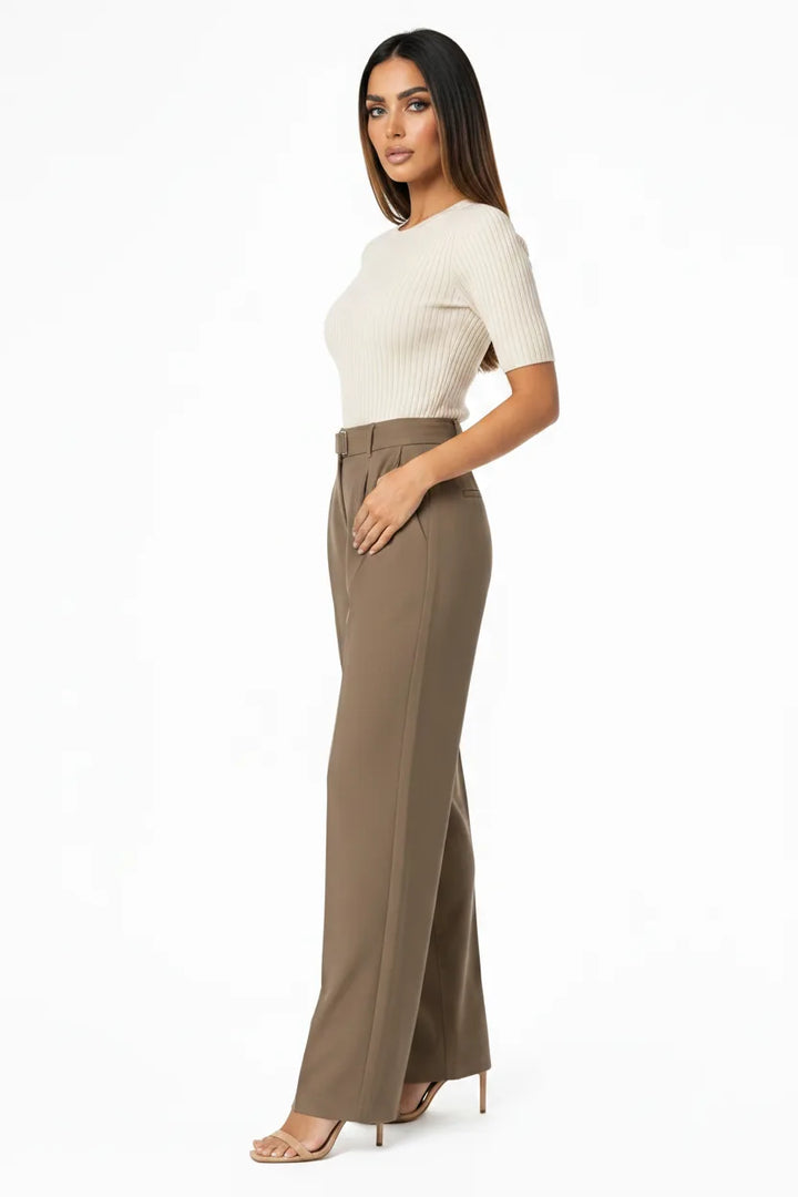 Brown pleated wide-leg trousers on a model in a three-quarter turn