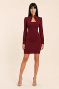 Ivy | Mock Neck Cutout Bodycon